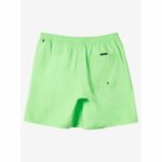BAÑADOR QUIKSILVER EVERYDAY SOLID VOLLEY 15´ GREEN GECKO | Mechanic