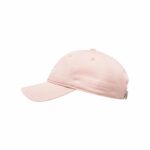 GORRA ELEMENT FLUKY MISTY ROSE | Mechanic