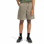 PANTALON CORTO ELEMENT CARPENTER CANVAS STONE GRAY. Mechanic Tienda de Ropa