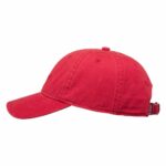 GORRA ELEMENT LOWCASE DAD CAP CARDINAL. Mechanic Tienda de Ropa