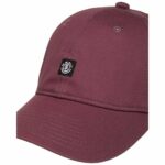 GORRA ELEMENT ICON DAD TWILL NOCTURNE | Mechanic